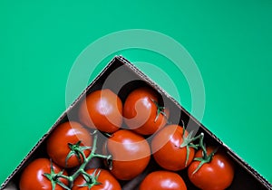Red shiny tomatoes in a box in green background