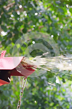 Red shredder for trees