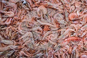 Red shrimps in market