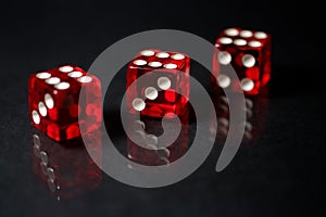 Red Sic Bo gambling dice with reflection photo