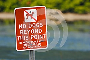 Red sign No dogs beyond this point. Beach near sea water, Florida, USA. Warning sign in the beach. Birdwatching in Florida. Dog in