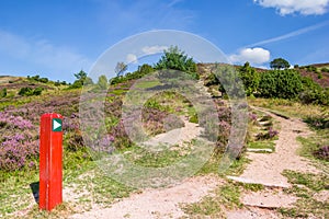 Red signpost pointing to the top of Sonderland mountain in Rebild Bakker National Park