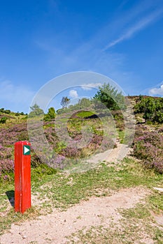 Red signpost pointing to the top of Sonderland mountain in Rebild Bakker National Park