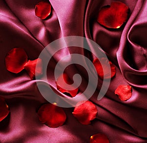 Red Silk and Rose Petals