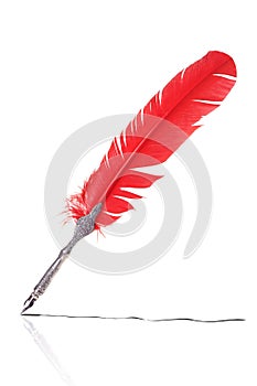 Red and silver quill