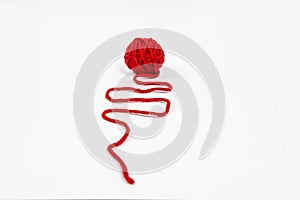 Red skein of thread against white background. Red ball of wool red thread isolated on white