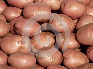 Red skin potatoes