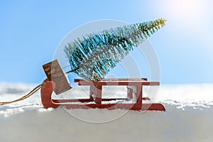 Red sled carrying a pine tree