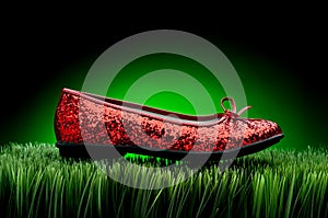 Red slipper on green grass