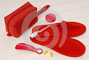 Red slippers, ear plugs, brush teeth, shoehorn from airplane,