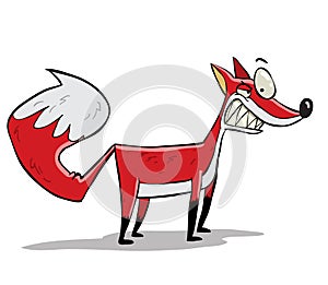 Red sly smart fox