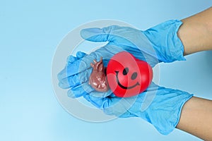 Red smile heart, human organ in hand palm wearing blue medical on gloves on blue background, Healthcare hospital service concept