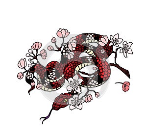 Red snake with apple fruit and Cherry flower spring season vector illustration background.