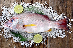 Red snapper fish from fishery market.