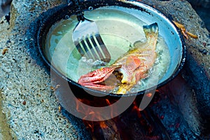 Red snapper fish in pan with oil