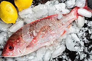 Red Snapper with lemons on ice
