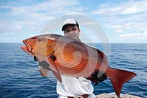 Red snapper