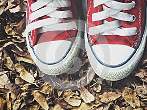 Red sneakers on brown dried leaves