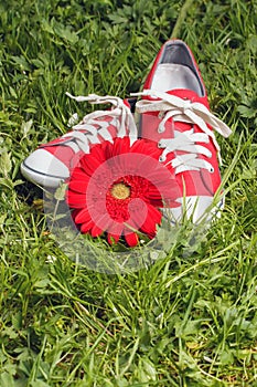 Red sneakers with flower
