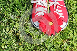 Red sneakers with gerbera flower