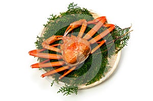 Red snow crab