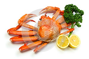 Red snow crab