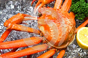 Red snow crab