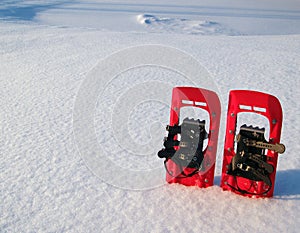 Red snowshoes in snow