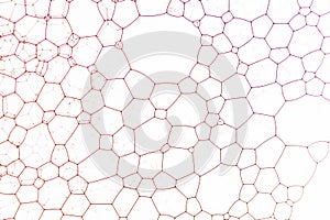 Red soap bubbbles against glass