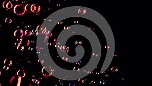 Red soap bubbles fly in the air. Slow motion. Black background