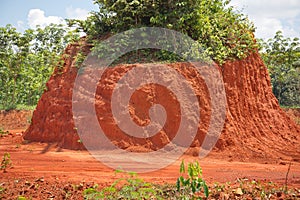 Red soil for building road or brick