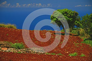 Red soil, jamaica