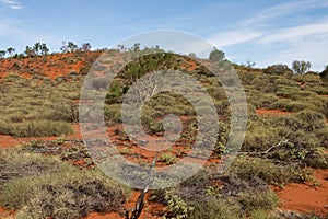 Red soil in Red Center