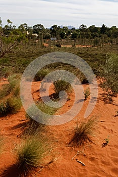 Red soil in Red Center