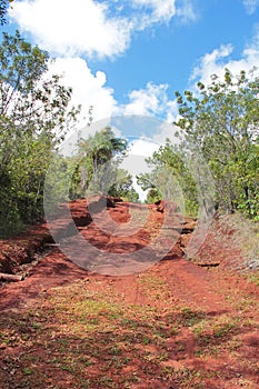 Red soil trails of Alejandro de Humboldt National Park in Baracoa, Cuba, UNESCO World Natural Heritage Site