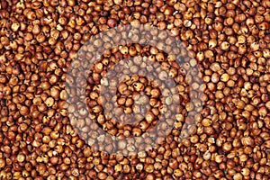 Red sorghum seeds suitable photo