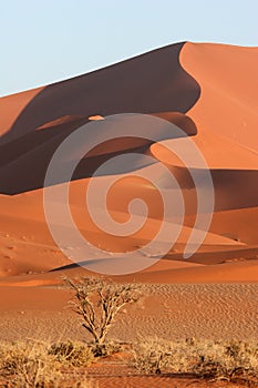 Red Sossusvlei dunes