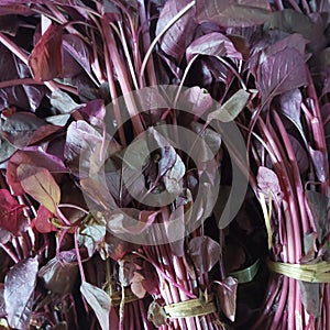 Red spinach sold by traders at the market