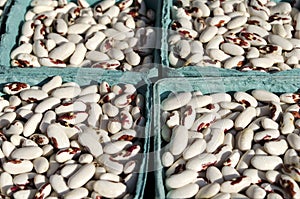 Red Spotted Kidney Beans