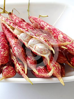 Red spotted pearly beans on white