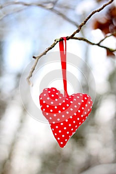 Red Spotty Heart hanging in winter woods.