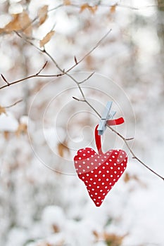 Red Spotty Heart hanging in winter woods.