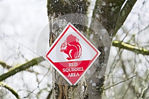 Red squirrel area conservation road sign in Scotland