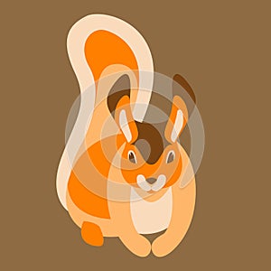 Squirrel vector illustration flat style front view
