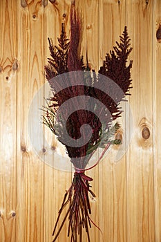 Red stabilized reed on a wooden wall for home decor