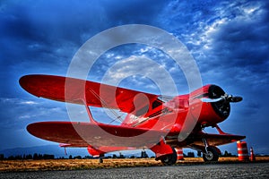 Red Staggerwing