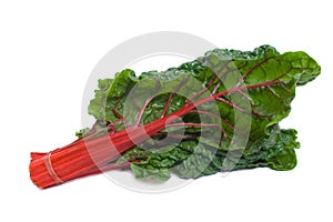 Red Stalk Silverbeet over white background