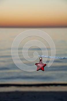A red star Christmas ornament hanging on a branch at sunset.