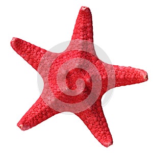 Red Starfish