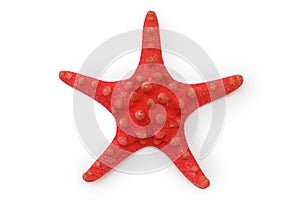 Red starfish